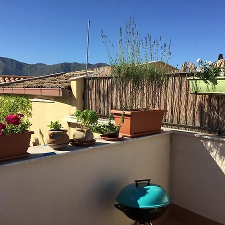 Casa Zyz